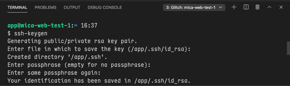 After completing the ssh-keygen command, the success message says Your identification has been saved in /app/.ssh/id_rsa.