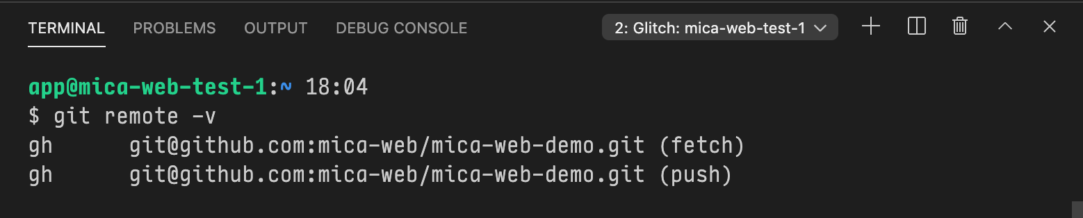 Screenshot of the console with the output from the git remote -v command.